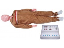 TY-CPR300型高級全自動電腦心肺復(fù)蘇模擬人